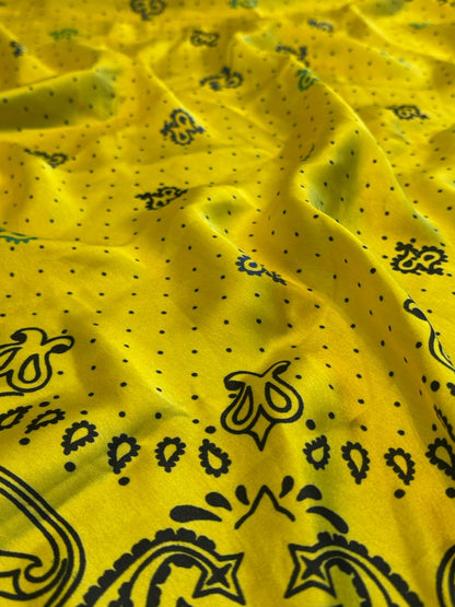 SUNBURST PAISLEY SCARF