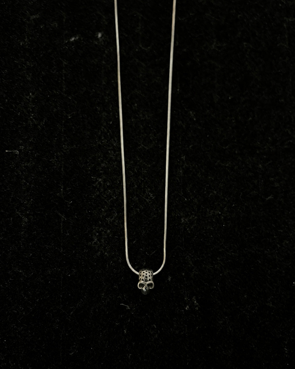 Skull Snake Chain Necklace